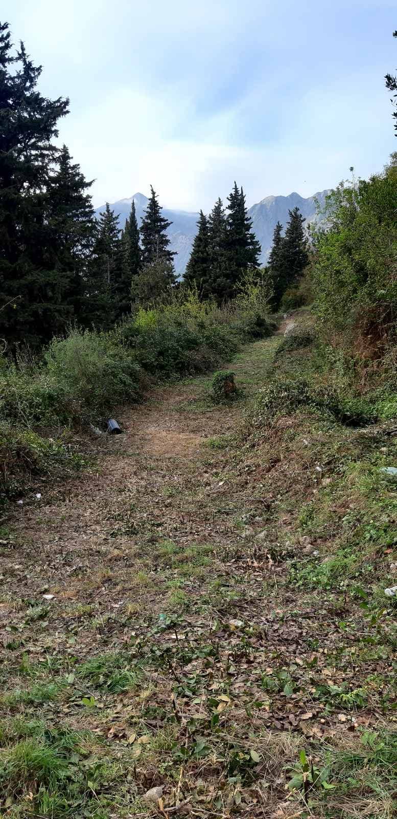 Construction Land in Dobrota, Kotor