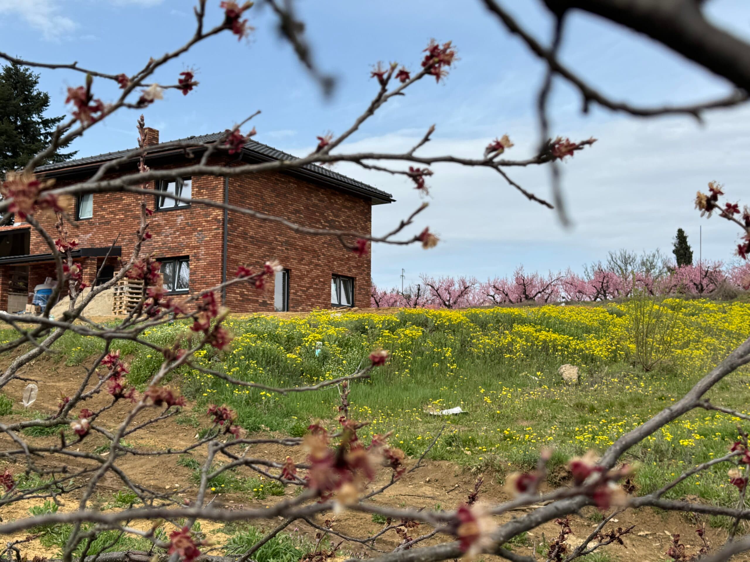 Exclusive Magnolia Villa Settlement, located in a picturesque area near Belgrade.